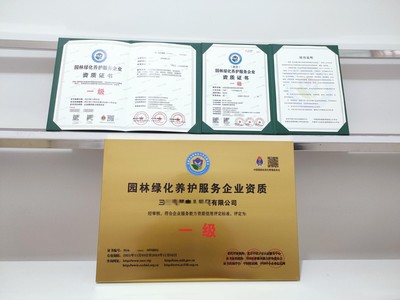 上海市企业一站式代办服务 营业执照、务代码证、财务咨询与代理记账全解析